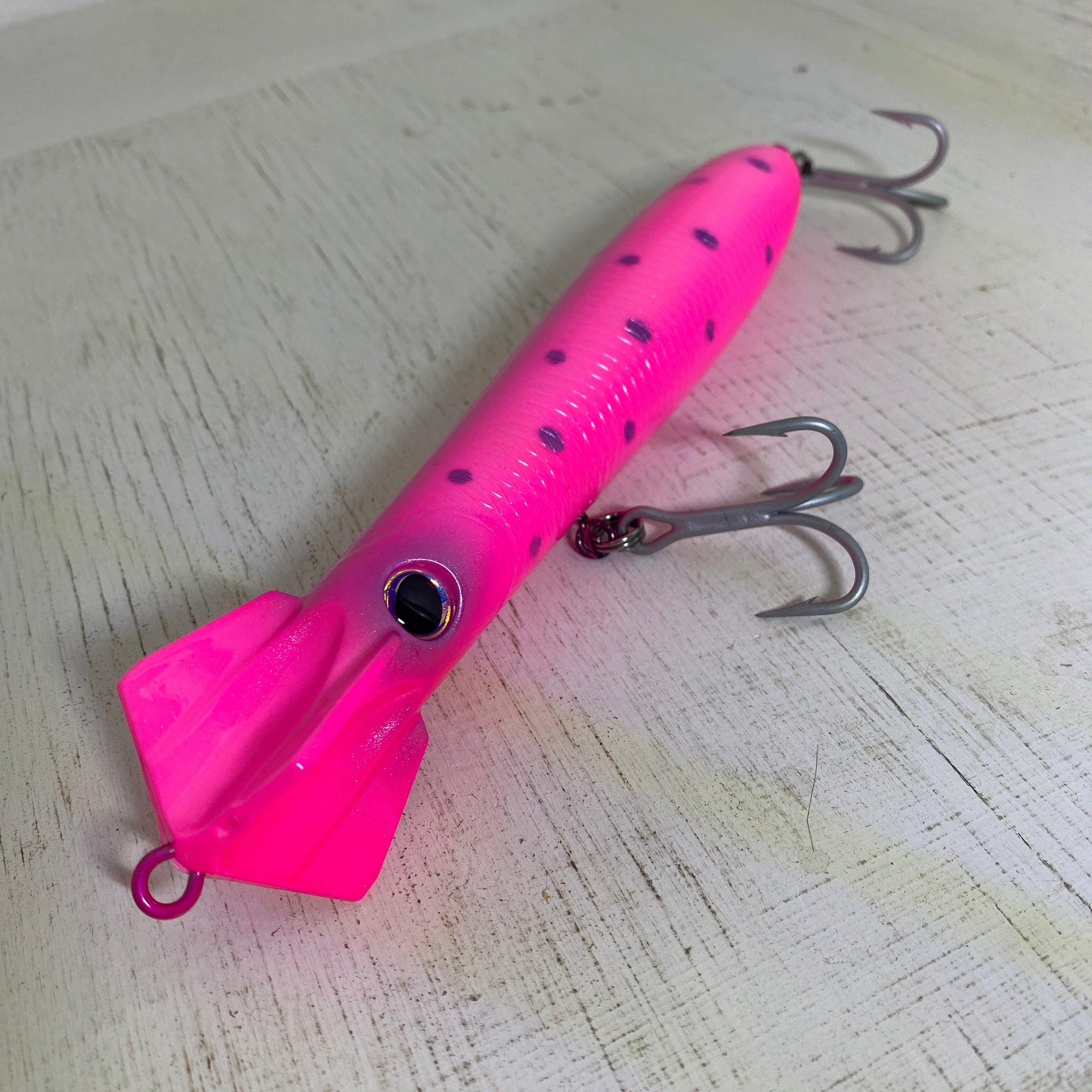 Northbar Flying Squid