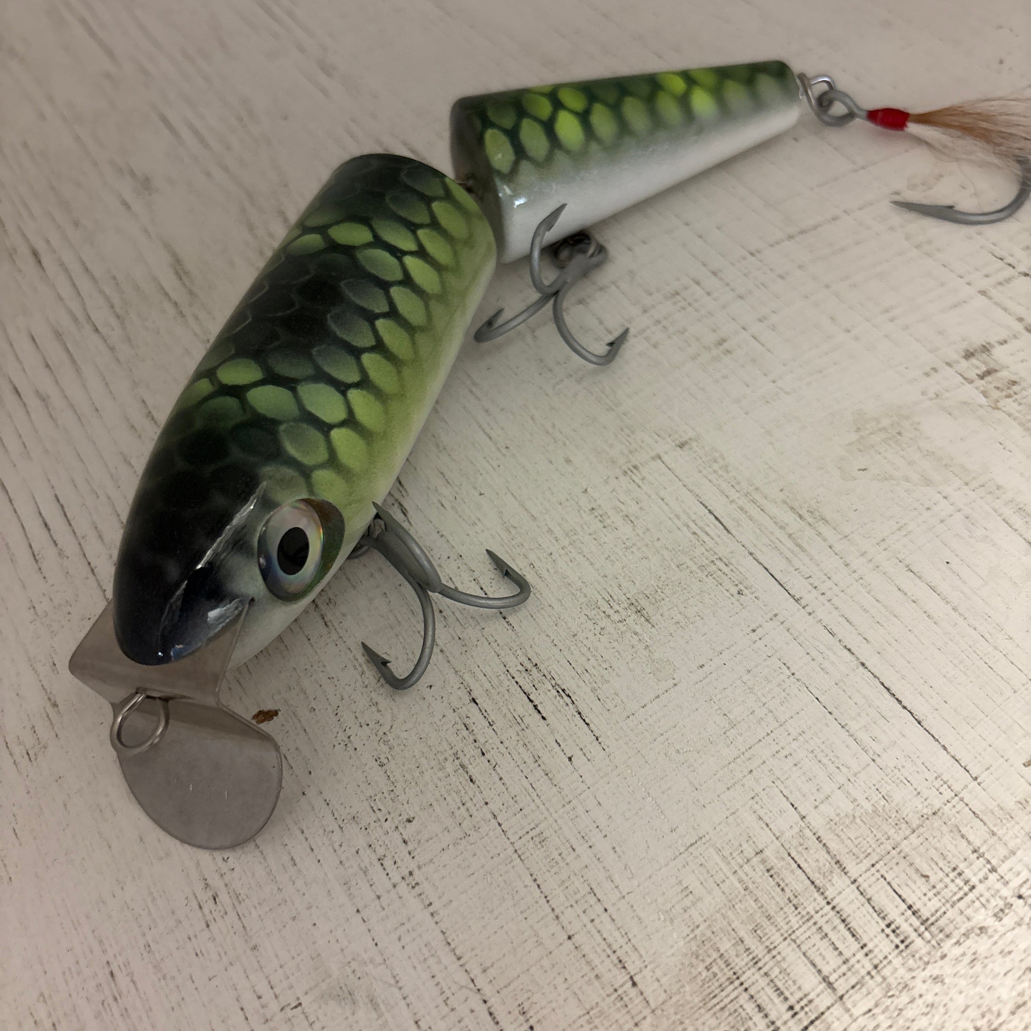 RMS Giant Jointed Swimmer