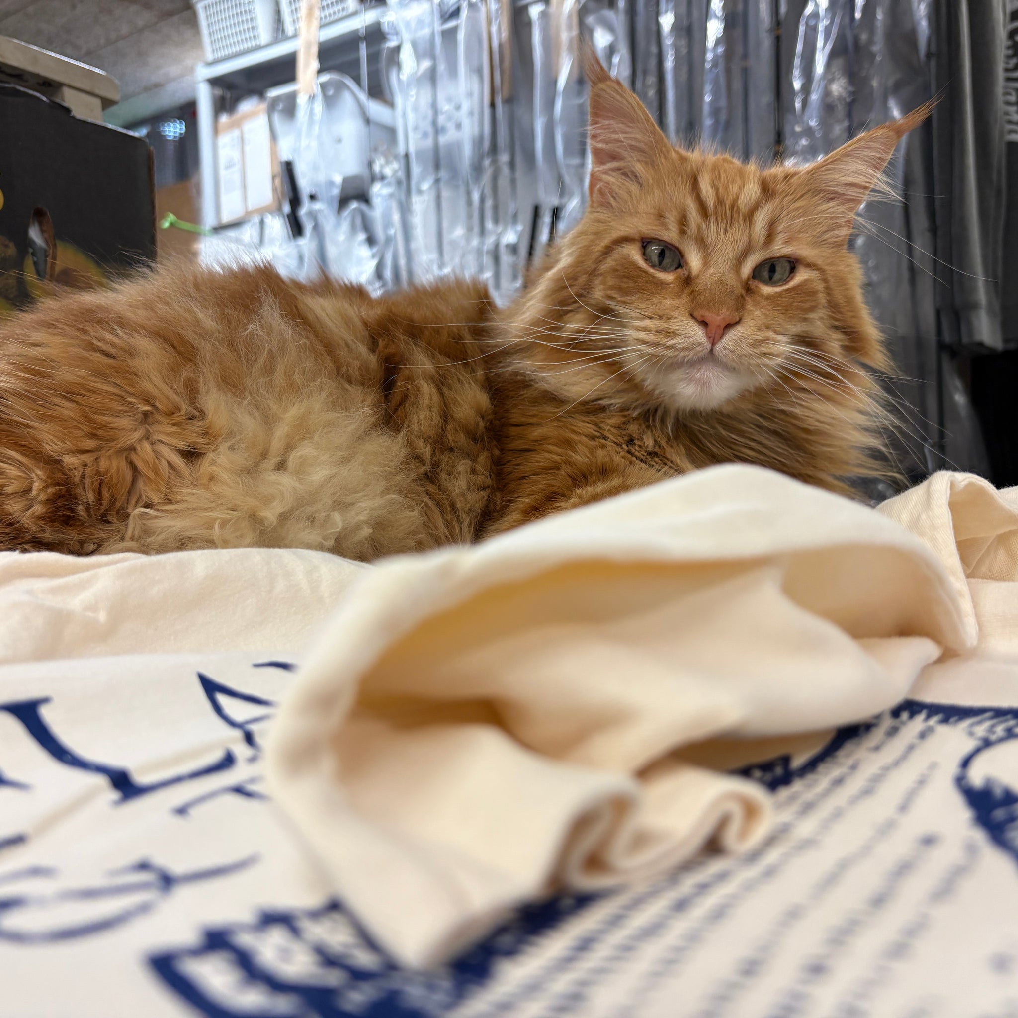 SBT - Hooded Long Sleeve T-Shirt