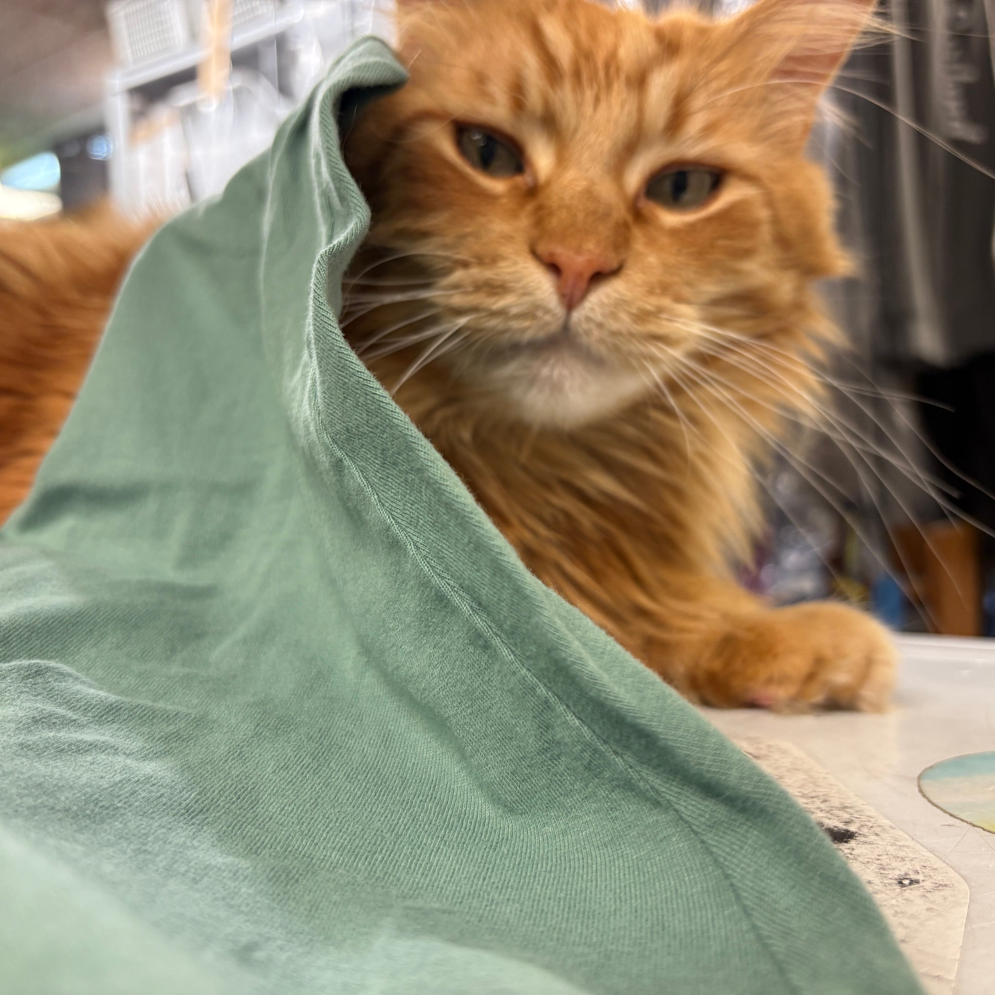 SBT - Hooded Long Sleeve T-Shirt