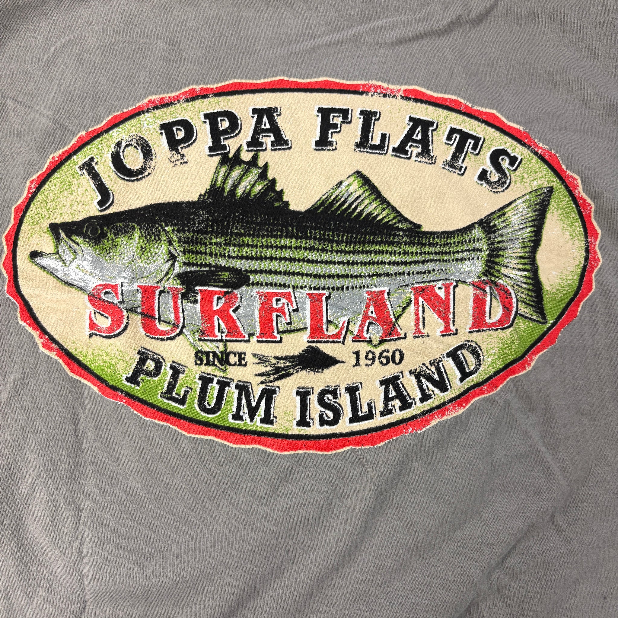 SBT - Hooded Long Sleeve T-Shirt