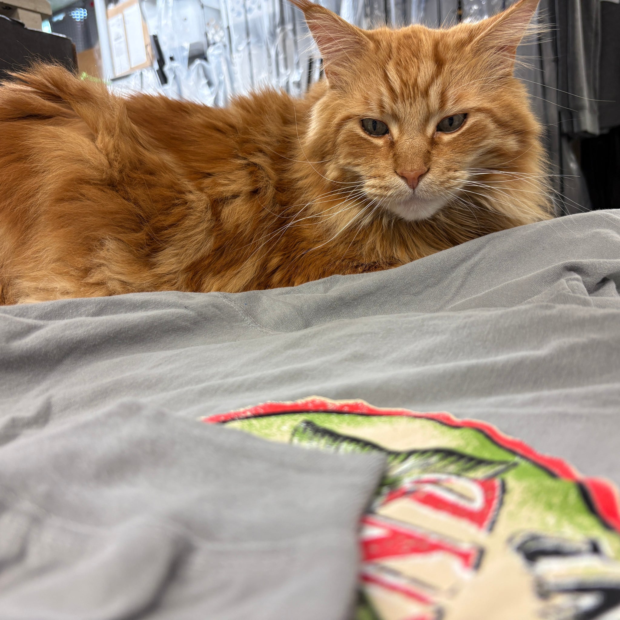 SBT - Hooded Long Sleeve T-Shirt