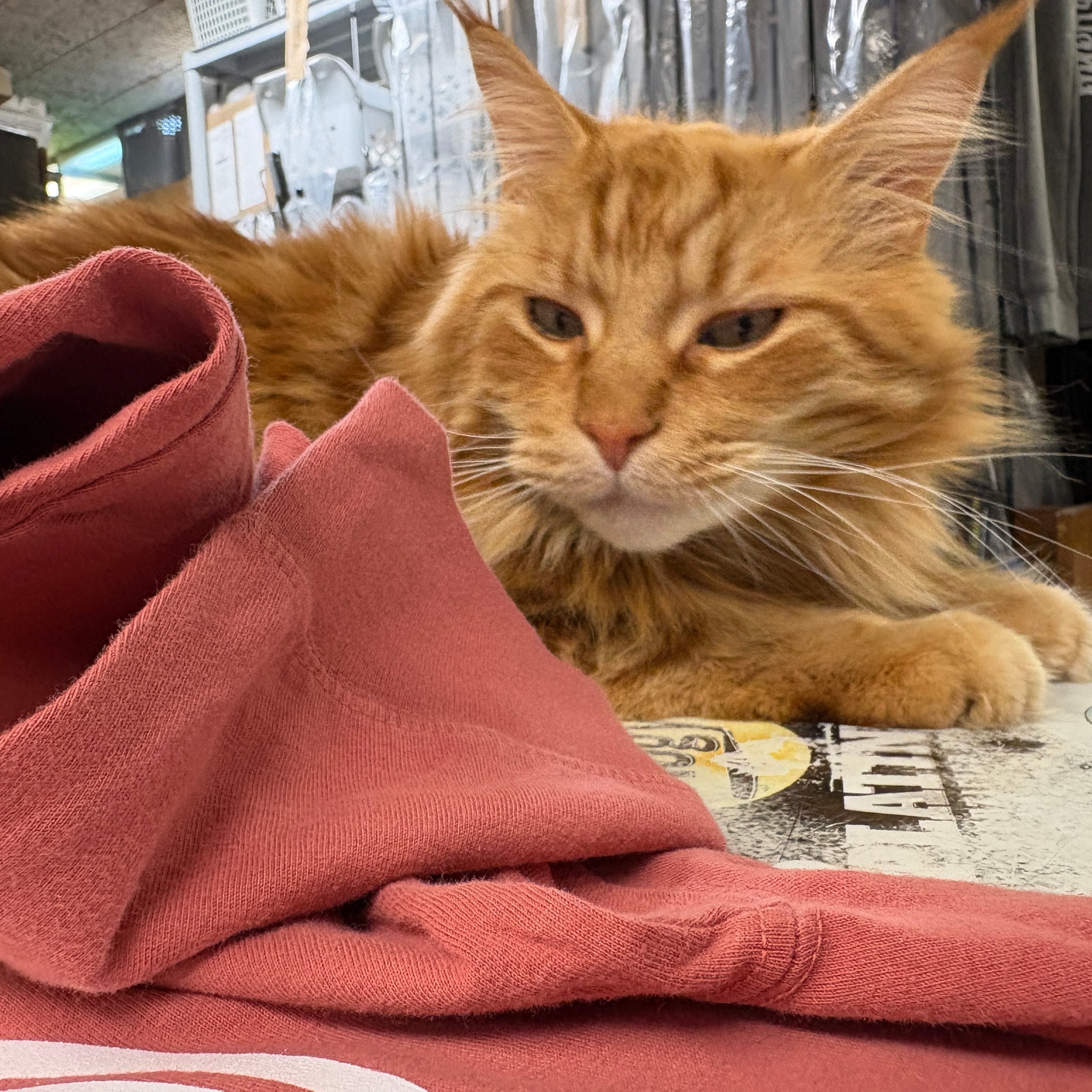 SBT - Hooded Long Sleeve T-Shirt