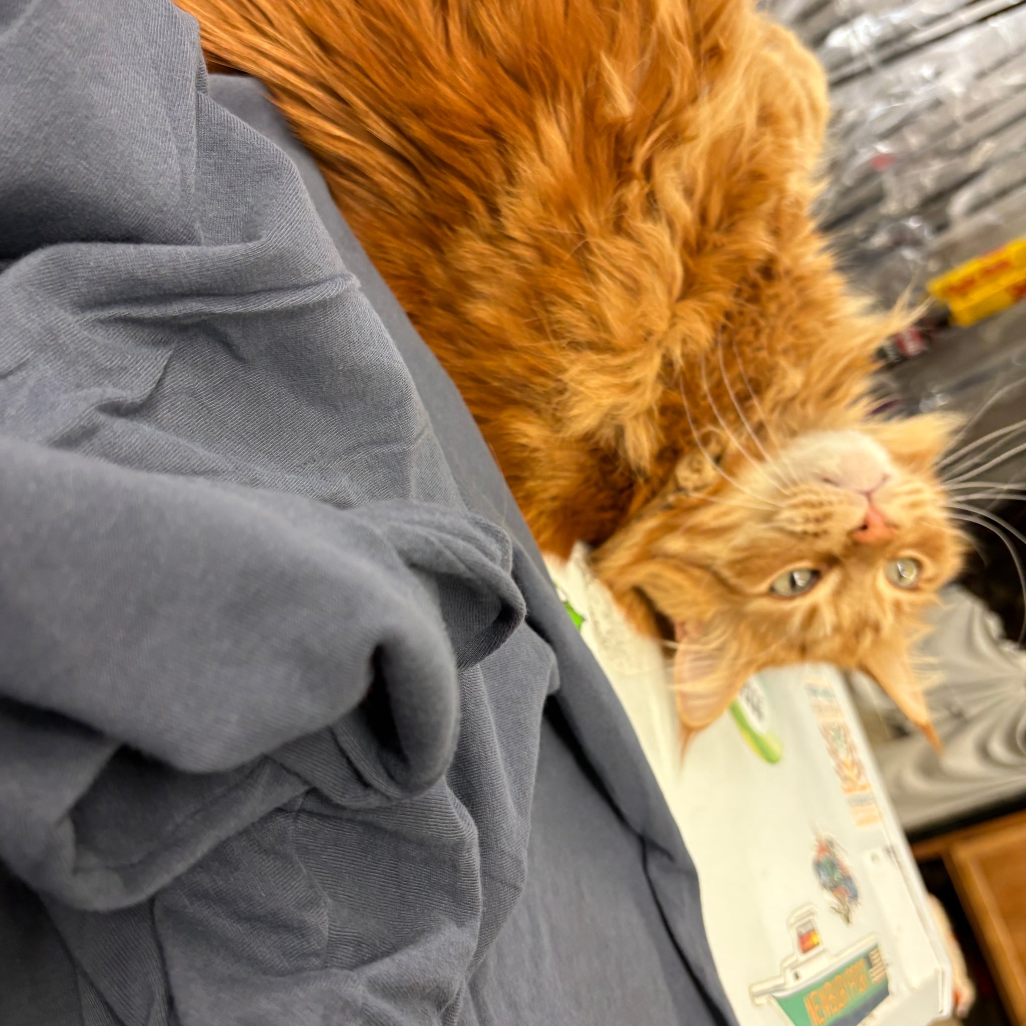 SBT - Hooded Long Sleeve T-Shirt