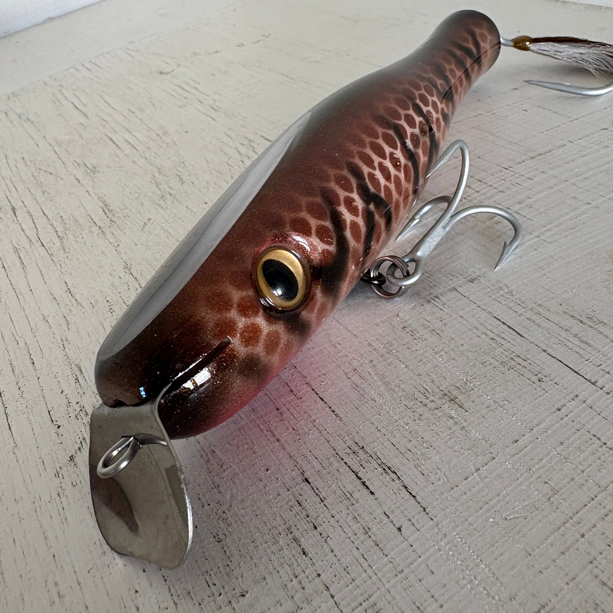Surfland's Maine Coon Collection Lures – Surfland Bait and Tackle