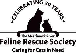 Surfland's Maine Coon Collection Lures